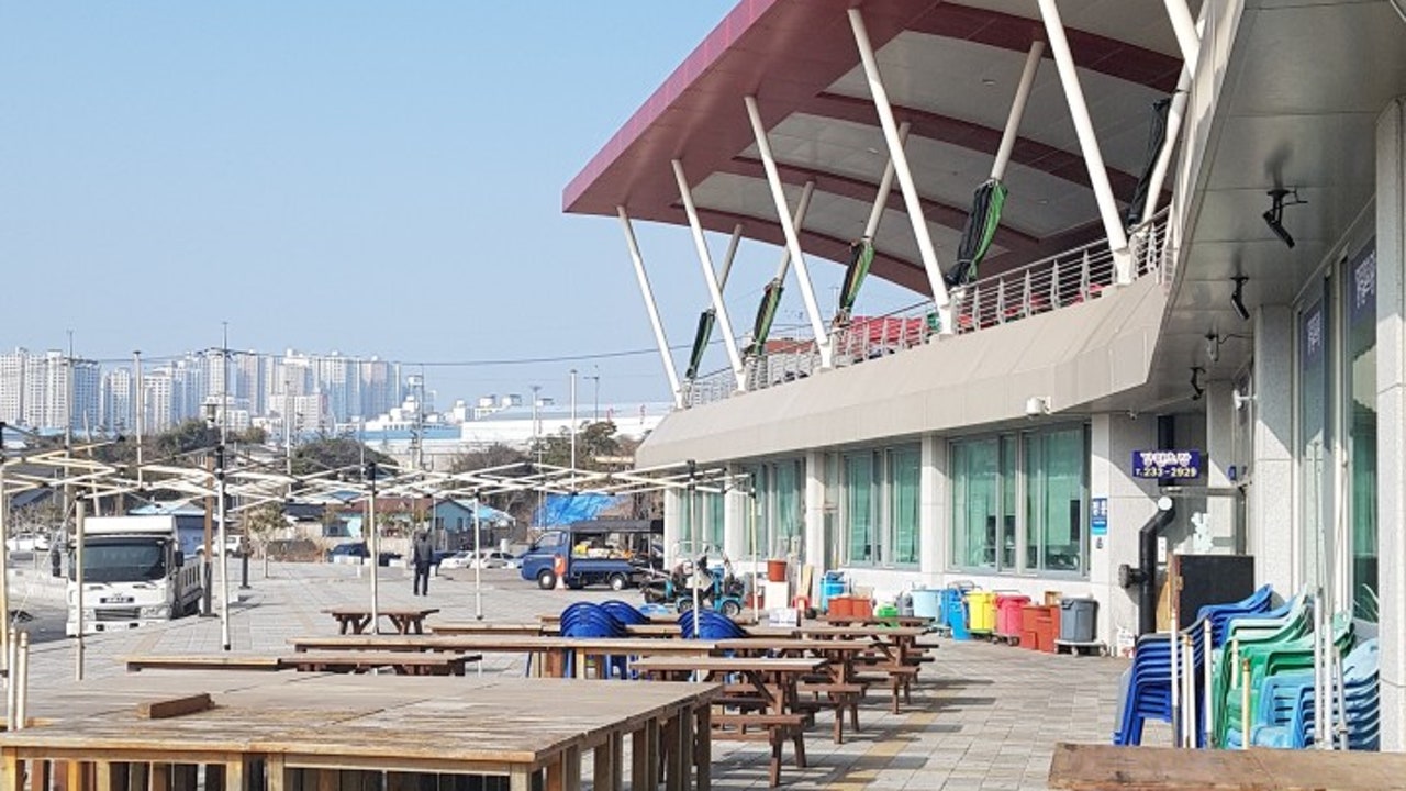 강원초장