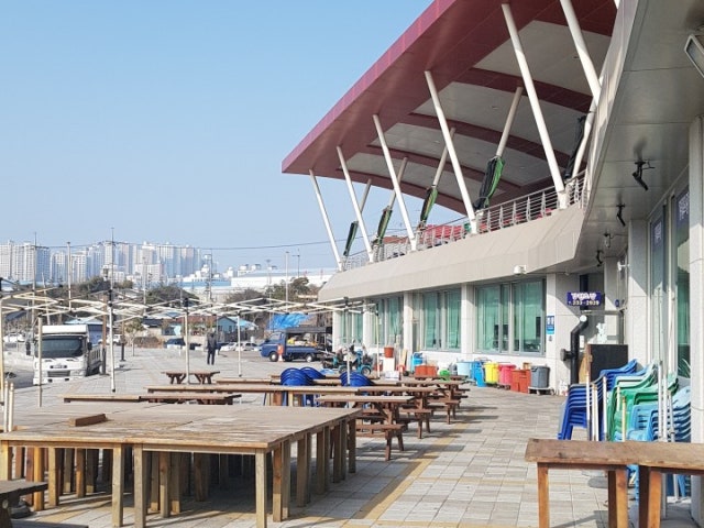 강원초장