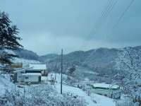 송정마을