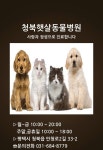청북햇살동물병원