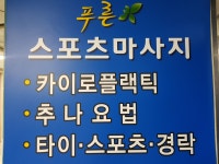 푸른스포츠공학원