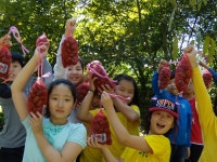 봉조농촌체험학교