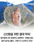 청해어랑