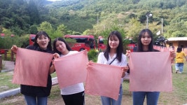 봉조농촌체험학교