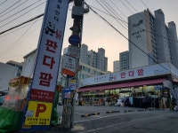 판다팜 수원대점