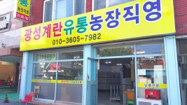 광성계란