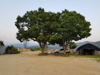 동수리막국수