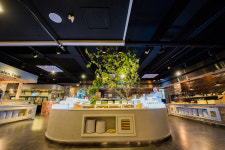 더존더파티스타