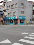 세종약국