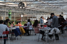 농업회사법인 보성싱싱농원