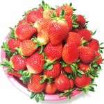 송촌호반딸기체험농장