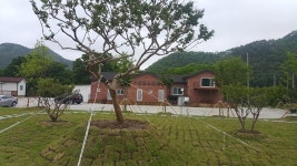 마이산 아일랜드펜션