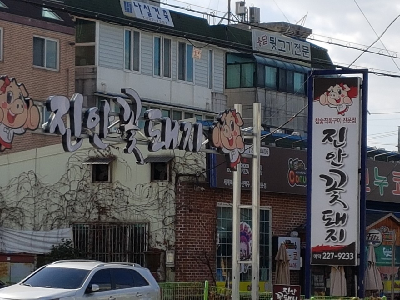 꽃돼지모임 이미지