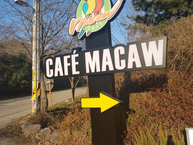 카페마카우