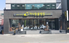 가나동물병원