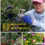 가람농원