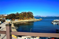 도다리팬션&횟집