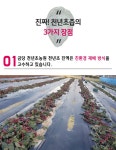 금당천년초농원