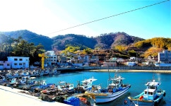 도다리팬션&횟집