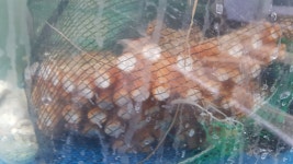 미광수산