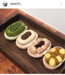 클로버37