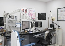 광명이비인후과의원