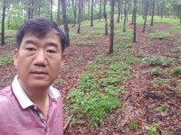 지렁골산양삼농원