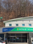 화천농협 사내지점