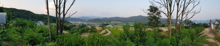 동수리막국수