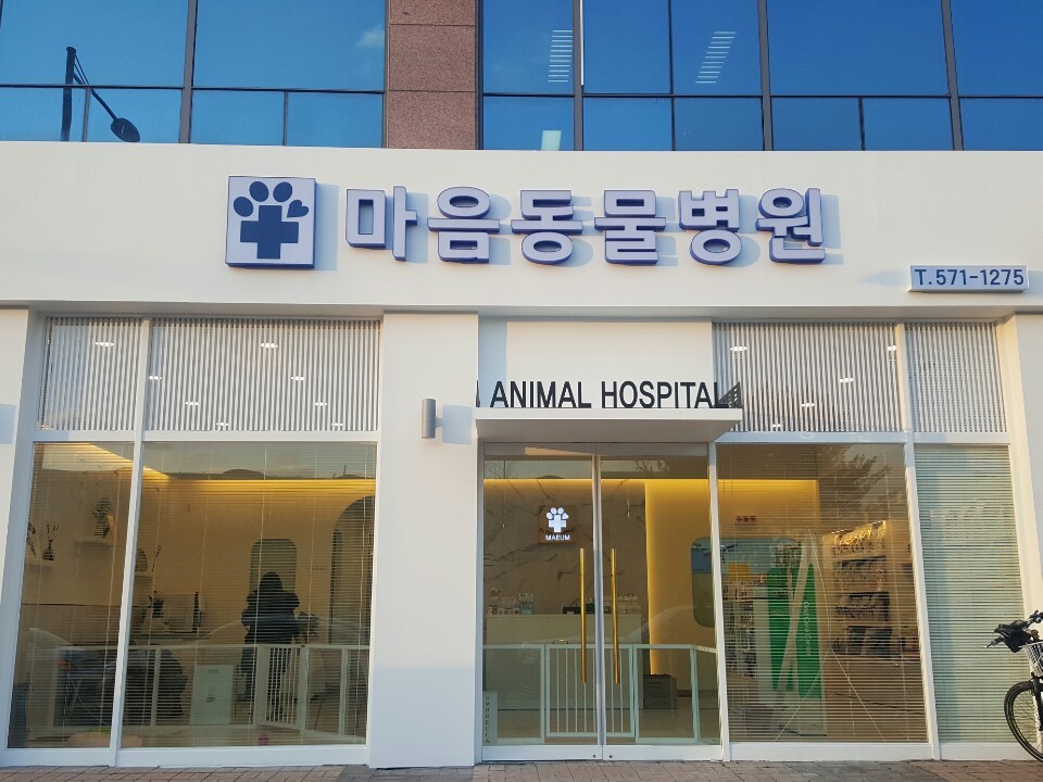 마음동물병원