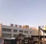 금강장어