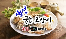 생선굽는고양이