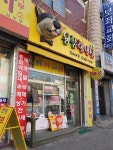 꼬마애견