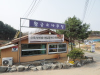 황금소나무집