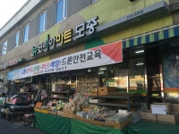 뉴코리아마트모종