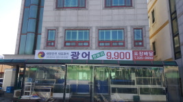 광어한마리9900원