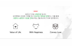 요미독 강아지 요미캣 고양이 안산점