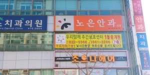 노은안과