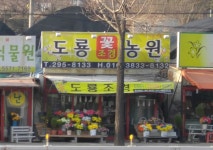 도룡농원