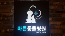 바른동물병원
