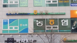한국화훼농협 파주운정지점