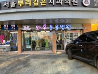 와우동물병원