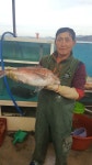 연대도섬펜션