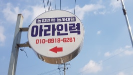 아라인력