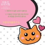 고양이미용연구소