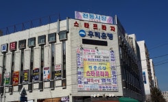 스타프라자