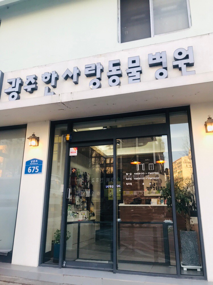 광주한사랑동물병원