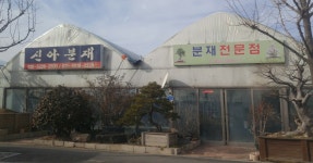 신아분재