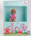 써니사진관 일원점