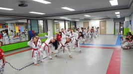 한국체대백호태권도장